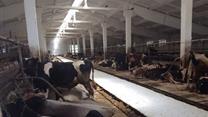 Продажа колхоза в Тульской области п. Ширинский